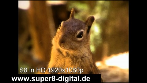 Super8 digitalisieren in HD 1920x1080p. Vergleichen Sie uns: DVF GmbH 0211-742002