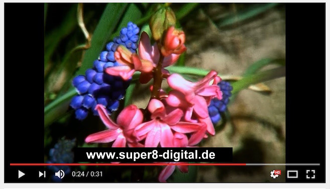 Digitalisierung von Super8 Schmalfilm mit professsioneller Film Abtastung und Bildbearbeitung bis UHD 4K 2160p auf SSD oder HDD